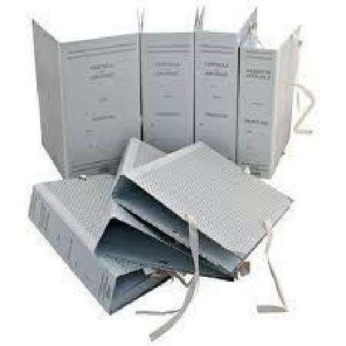 CARTELLA FALDONE ARCHIVIO CON LEGACCI - DORSO 15 (91080) - 1 PEZZO