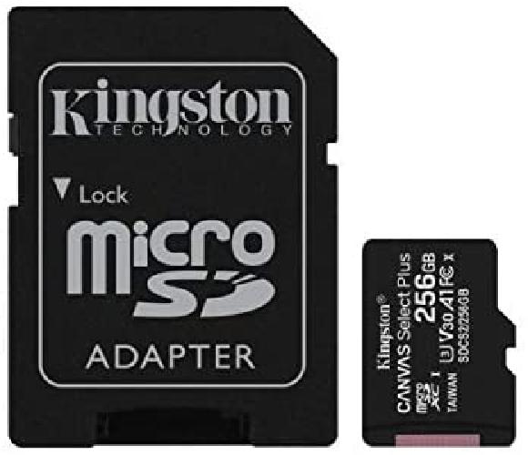 TRANS FLASH 256 GB CANVAS SELECT PLUS (SDCS2/256GB) CLASS 10